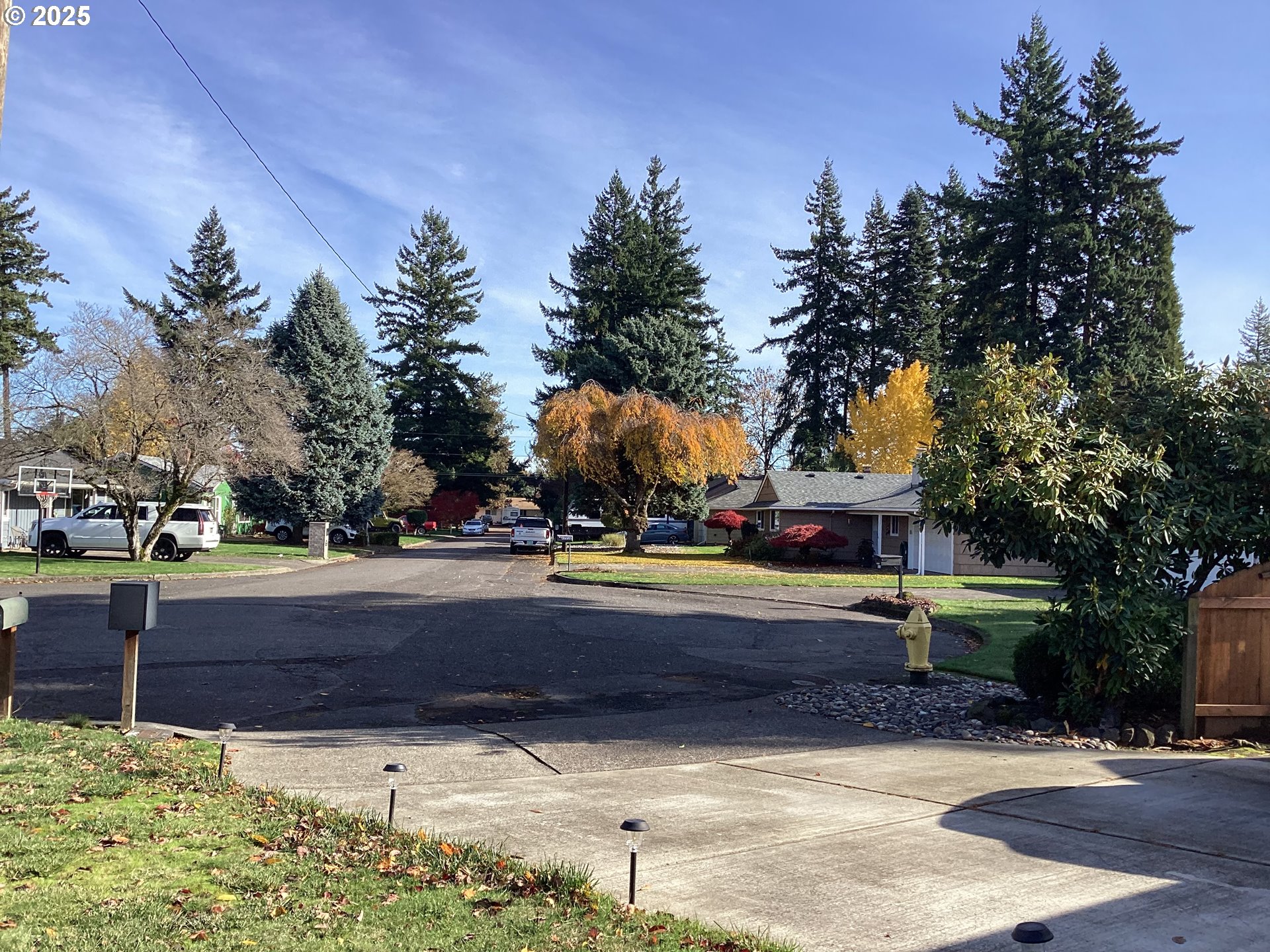 17706 Southeast Washington Street Portland, OR 97233 - Photo 34 of 34 a view of yard with large tree