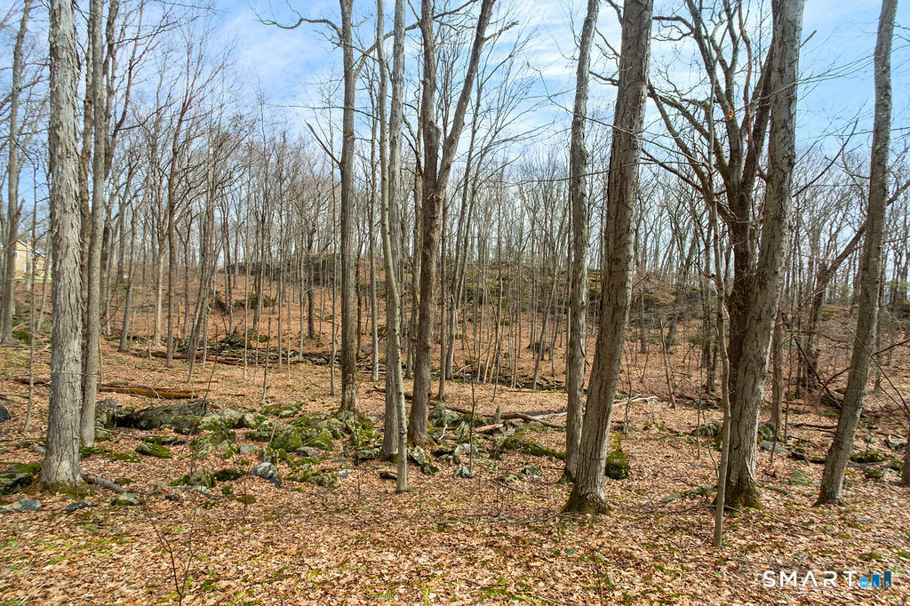 10 Chimney Hill Road Sherman, CT 06784 - Photo 3 of 13