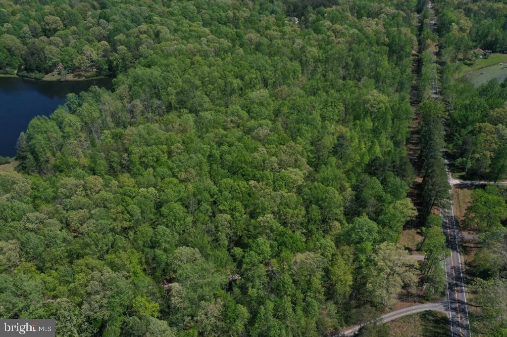 0 Broad St Road Gum Spring, VA 23065 - Photo 3 of 6