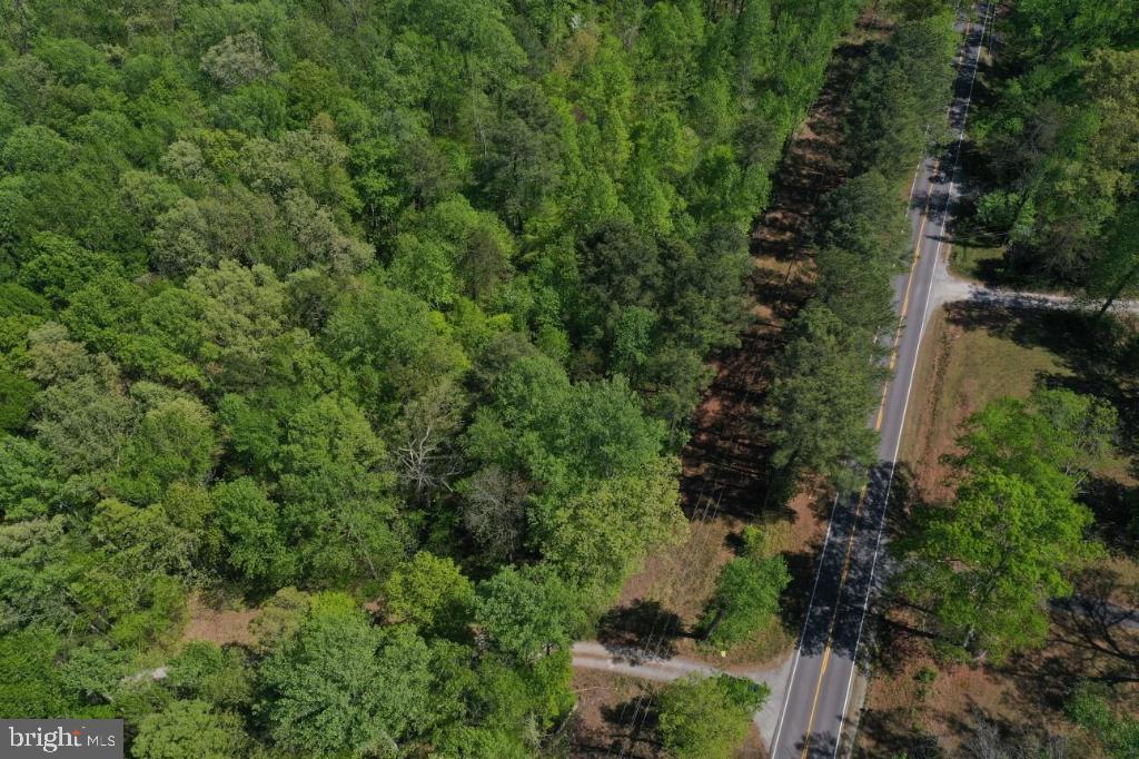 0 Broad St Road Gum Spring, VA 23065 - Photo 5 of 6