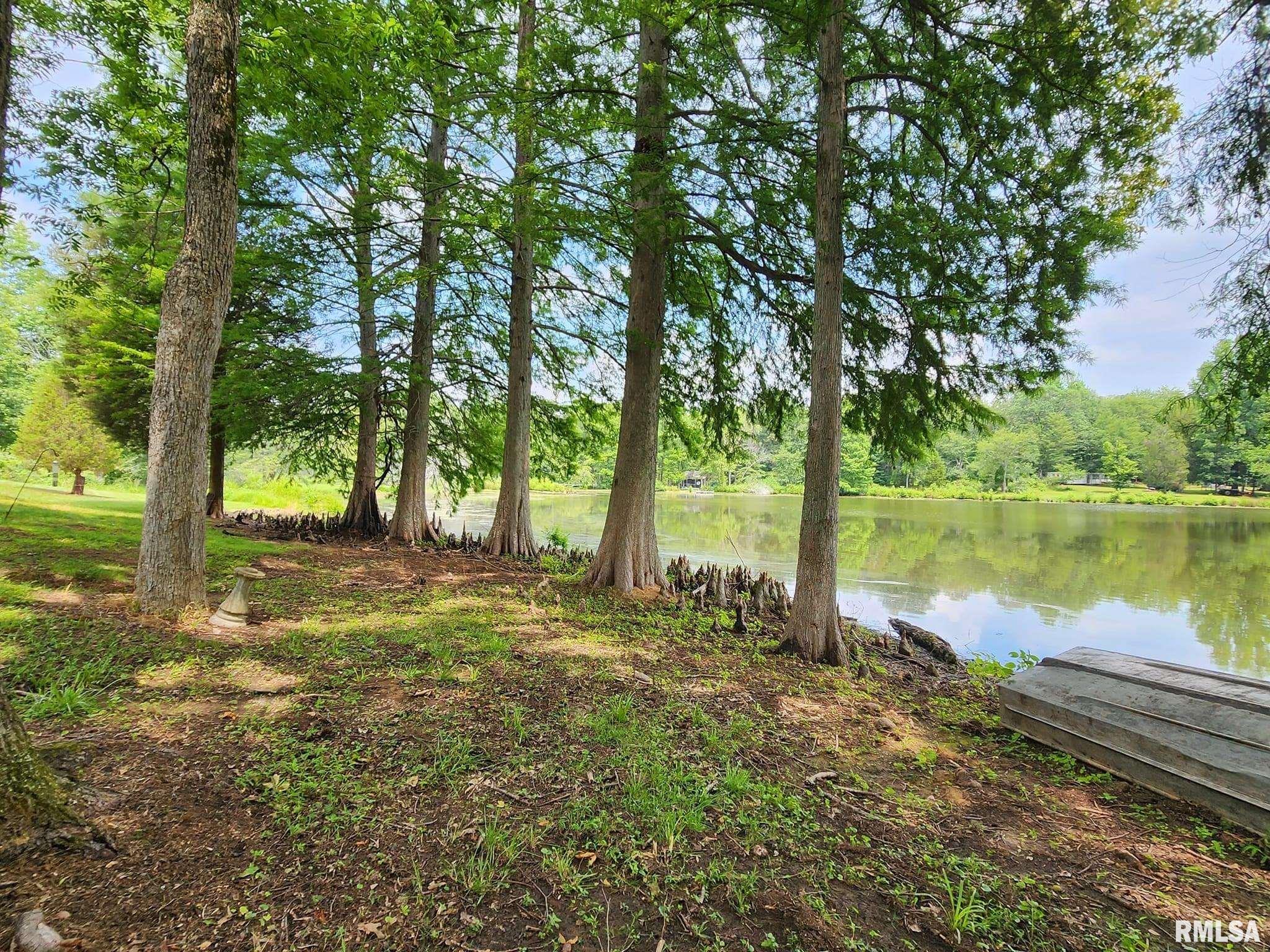 4147 Mann Lake Road Metropolis, IL 62960 - Photo 8 of 71
