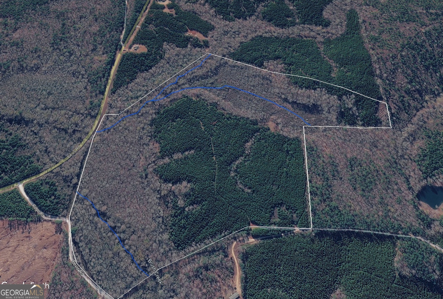 0 Noles Road Franklin, GA 30217 - Photo 21 of 21