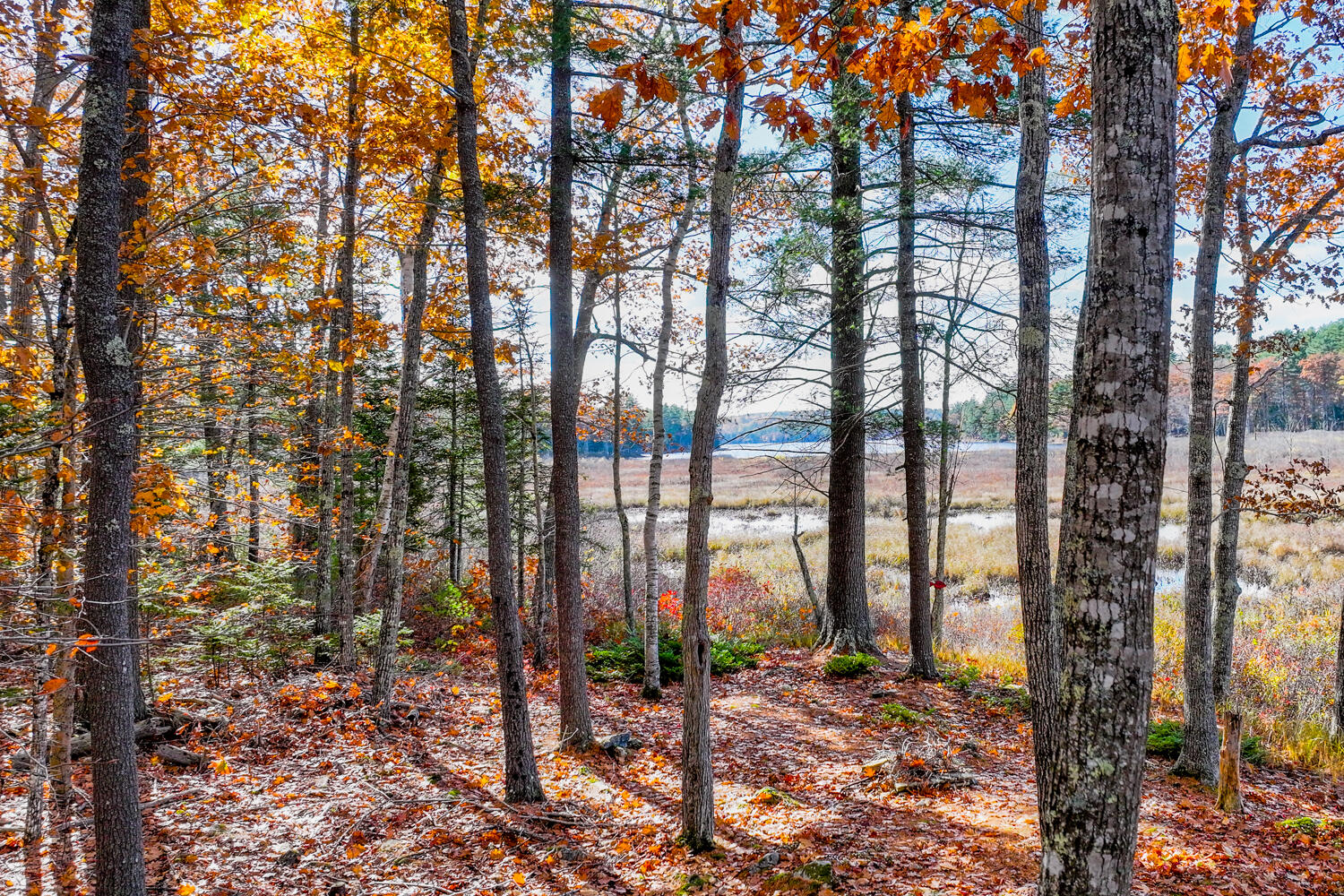 301 Bushey Shore Palermo, ME 04354 - Photo 17 of 19 301 Bushey Shore Road, Palermo