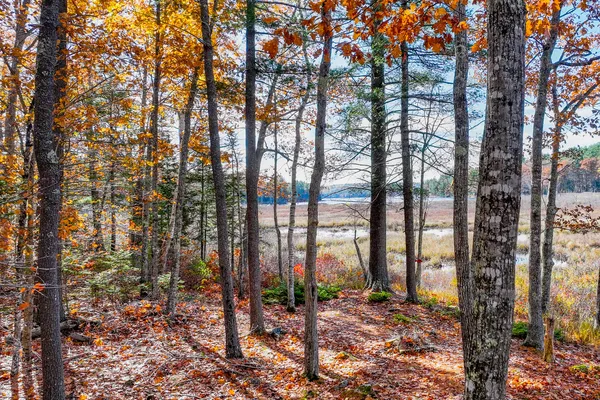 $325,000 | 301 Bushey Shore, Palermo, ME 04354