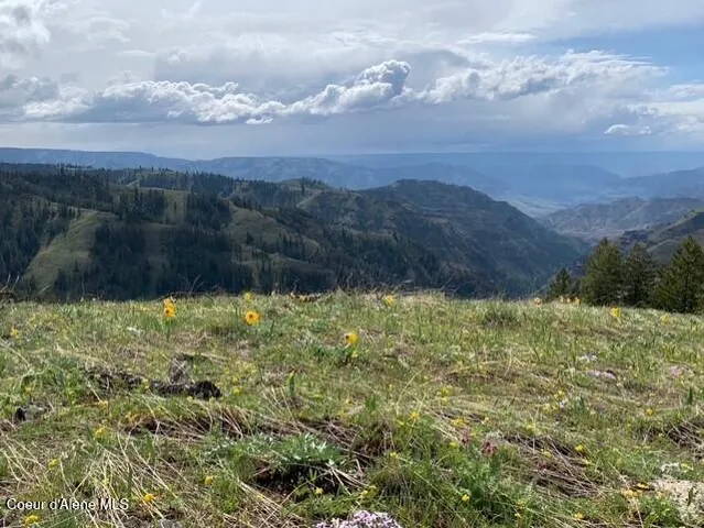 $119,900 | 17.51 High Range Road, Cottonwood, ID 83522