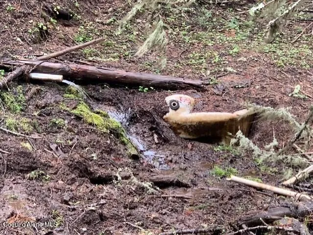 $119,900 | 17.51 High Range Road, Cottonwood, ID 83522