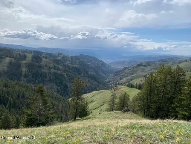 $119,900 | 17.51 High Range Road, Cottonwood, ID 83522