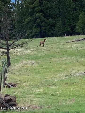 $119,900 | 17.51 High Range Road, Cottonwood, ID 83522