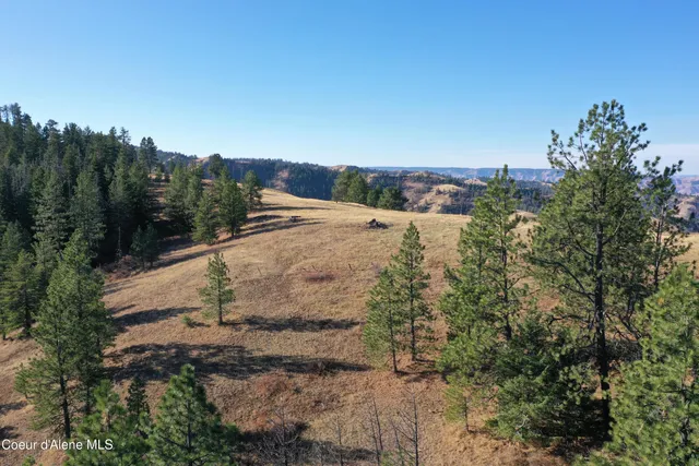 $119,900 | 17.51 High Range Road, Cottonwood, ID 83522