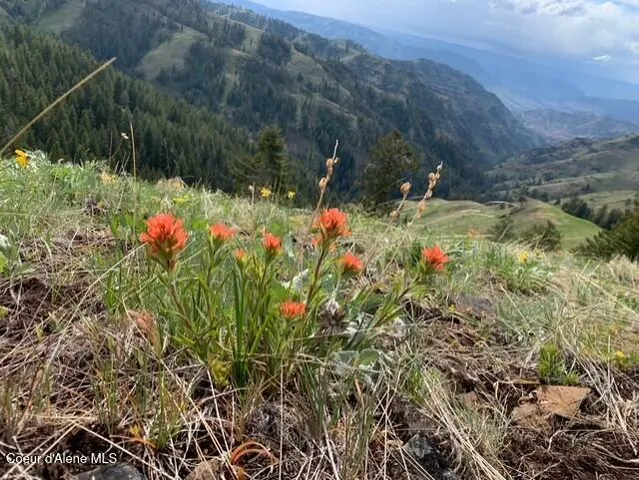 $119,900 | 17.51 High Range Road, Cottonwood, ID 83522