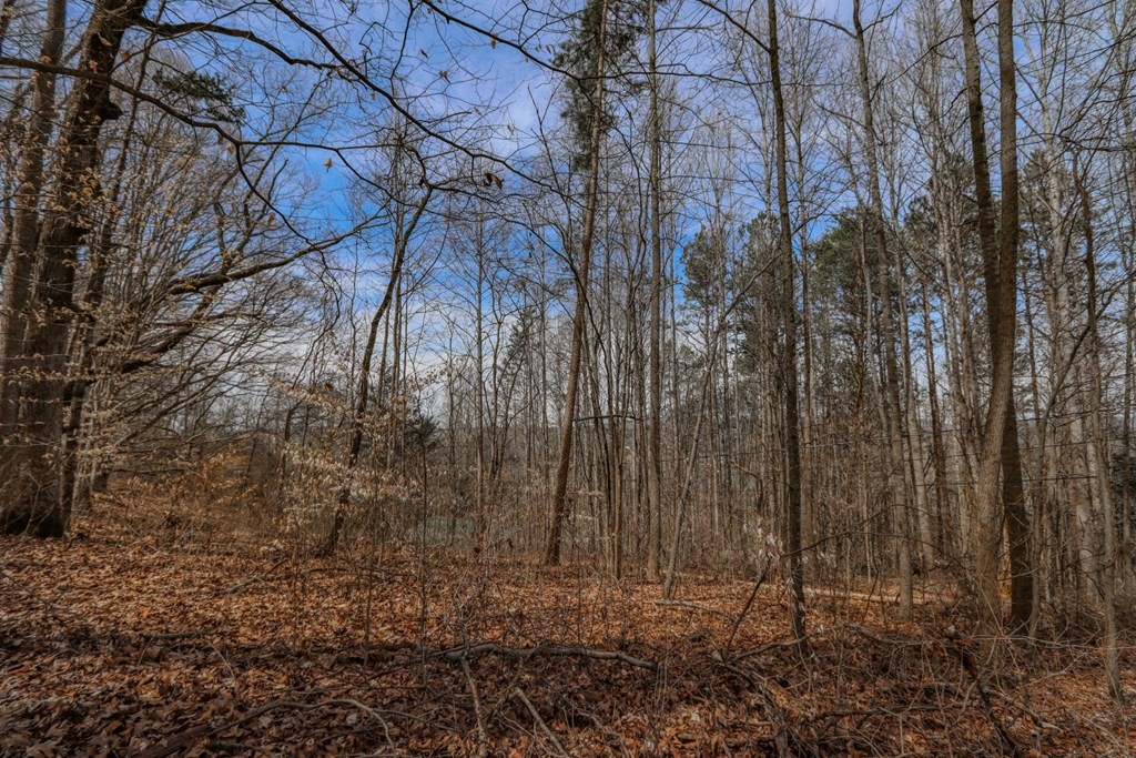 215 Wilkerson Road Mosheim, TN 37818 - Photo 10 of 20 Gallery Image 10
