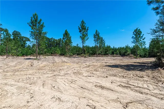 $46,250 | Lot 3 Mile Road, Pitkin, LA 70656