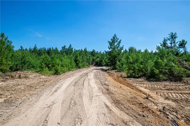 $46,250 | Lot 3 Mile Road, Pitkin, LA 70656