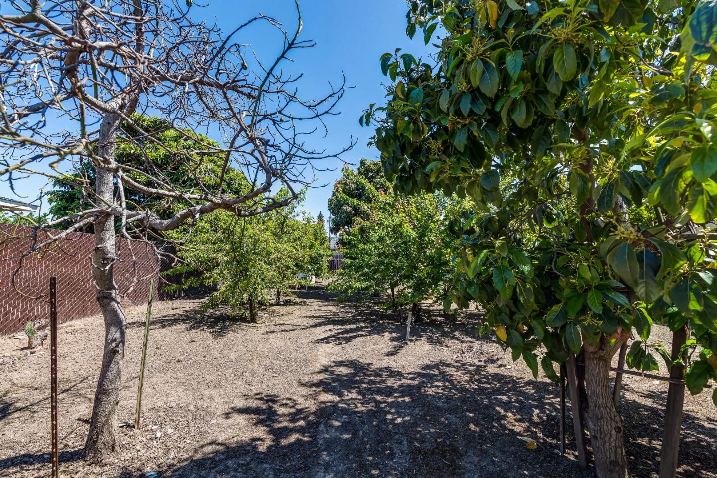 24766 Soto Road Hayward, CA 94544 - Photo 17 of 17 Gallery Image 17