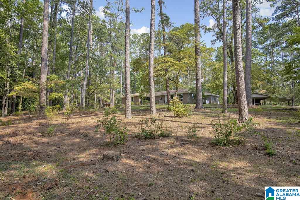 1275 Harper Springs Road Sylacauga, AL 35150 - Photo 28 of 29