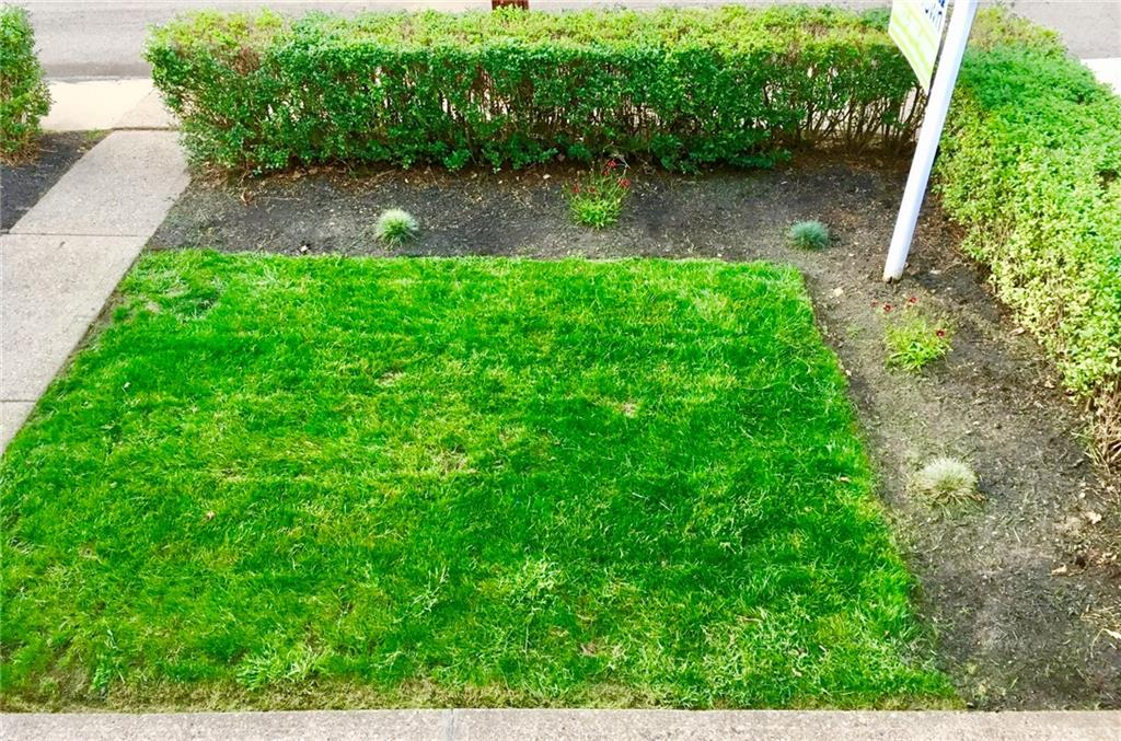 5628 Marlborough Road Pittsburgh, PA 15217 - Photo 16 of 19 FRONT YARD- Lush green grass and new perennials planted.