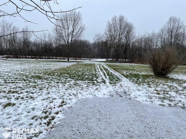 Parcel C Roods Lake Road Lapeer, MI 48446 - Photo 7 of 8
