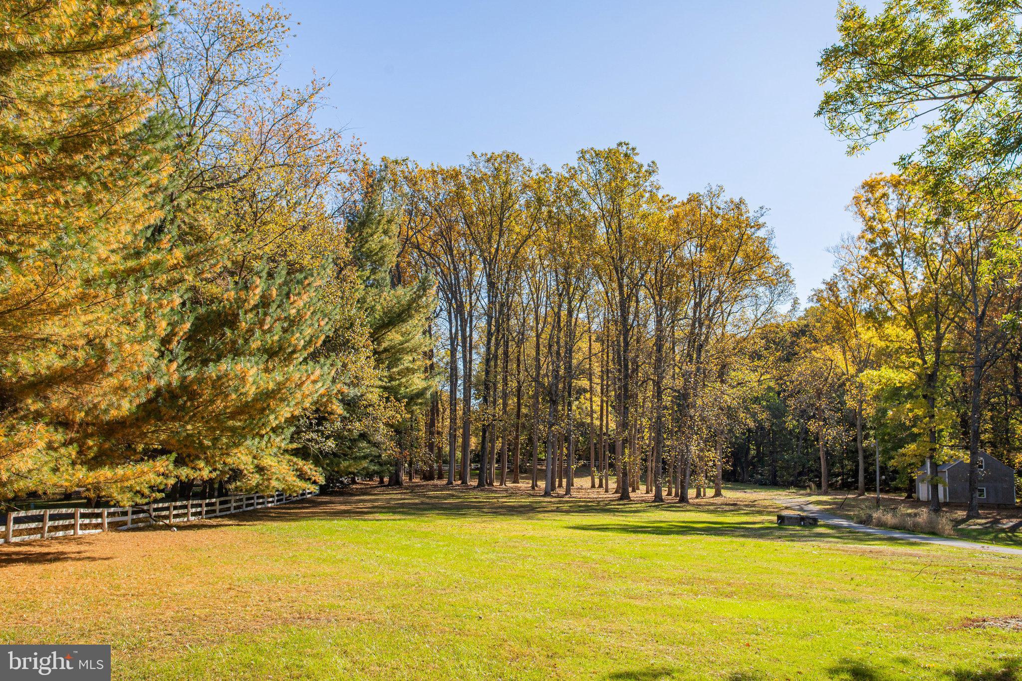 7601 Brickyard Road Potomac, MD 20854 - Photo 6 of 15 a view of a swimming pool and trees in the background