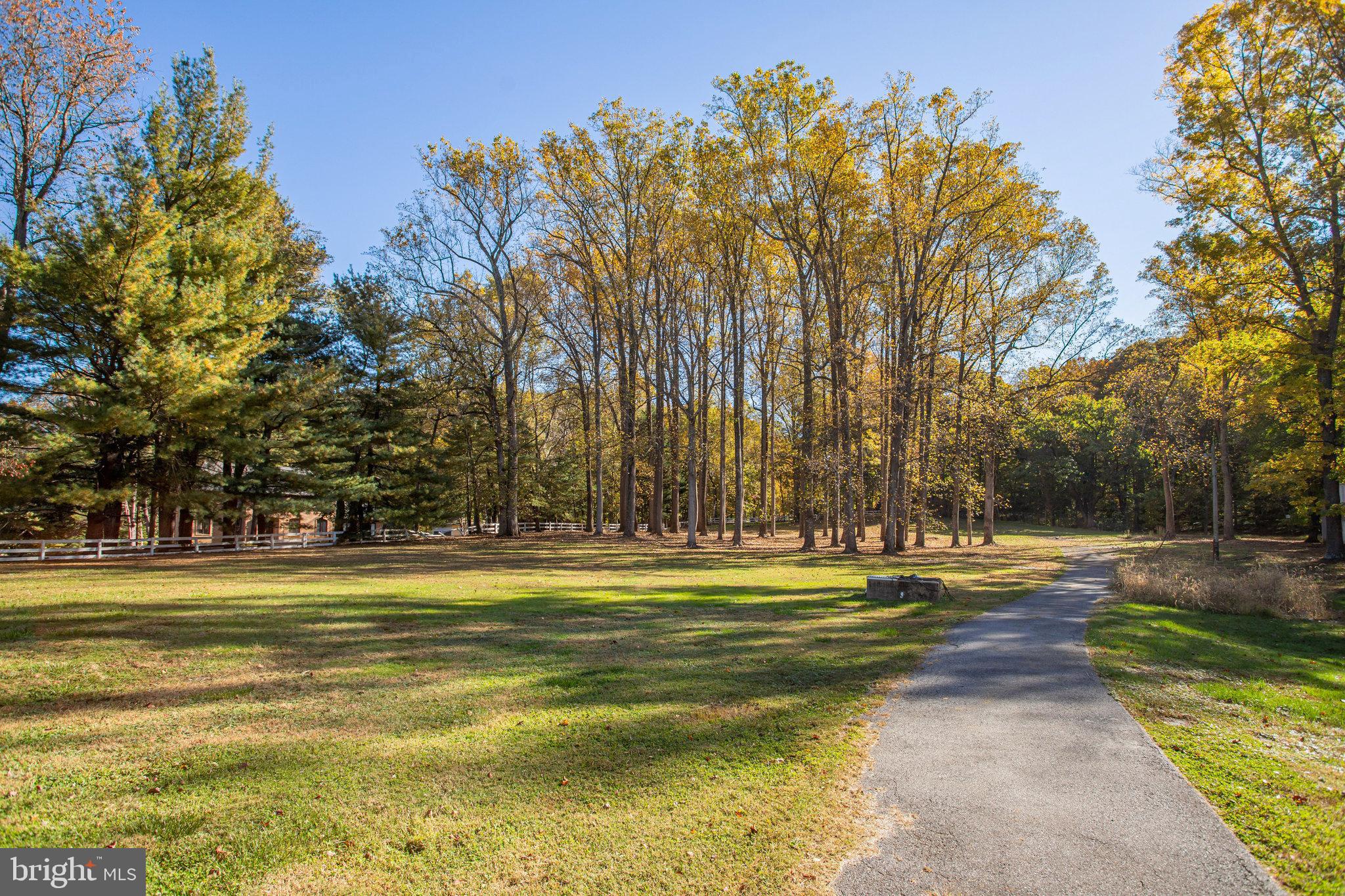 7601 Brickyard Road Potomac, MD 20854 - Photo 9 of 15 a view of a swimming pool with a big yard and large trees