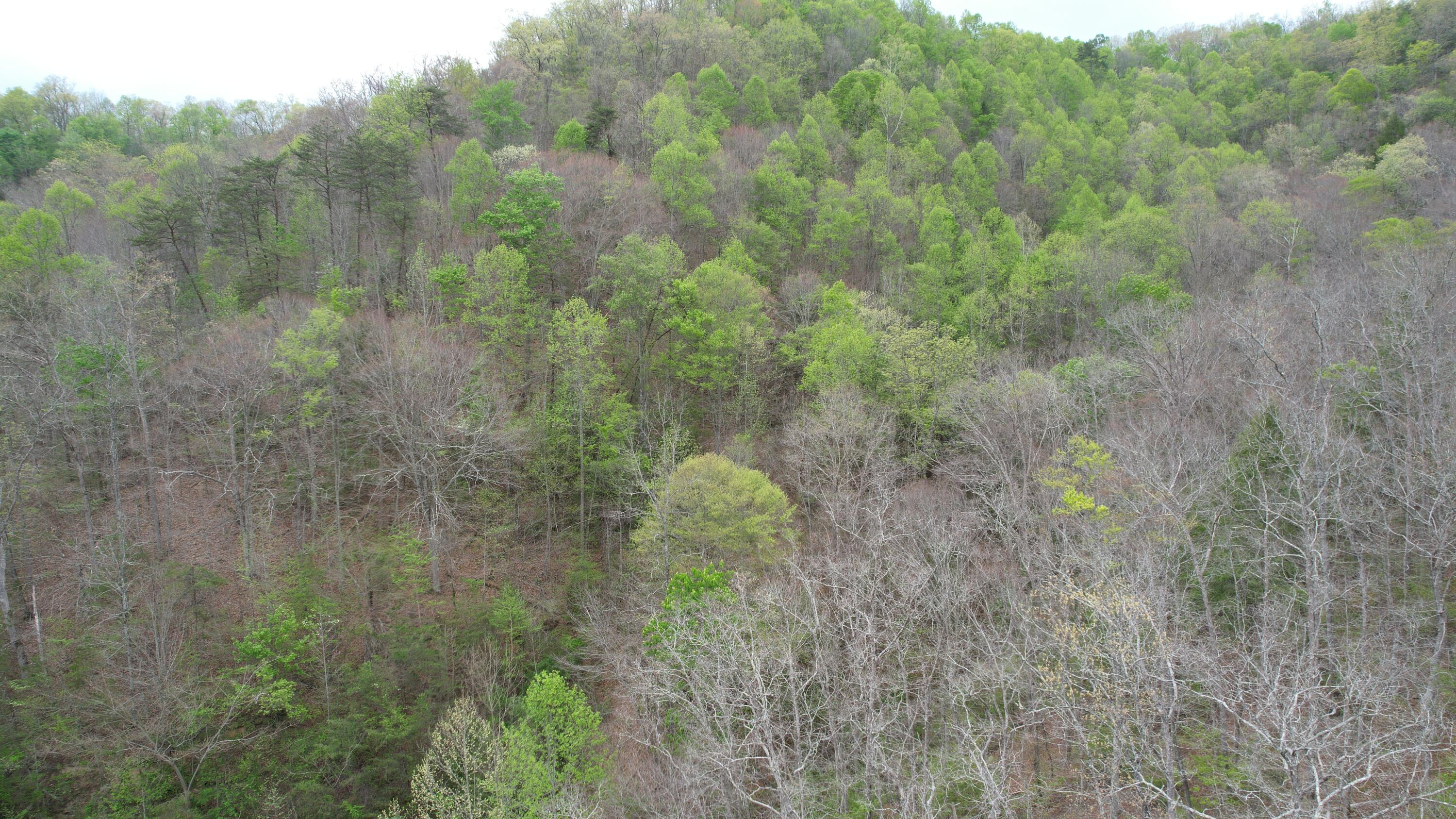 321 Mill Creek Road Jackson, KY 41339 - Photo 2 of 15 dji_fly_20260414_124732_19_1776185389461