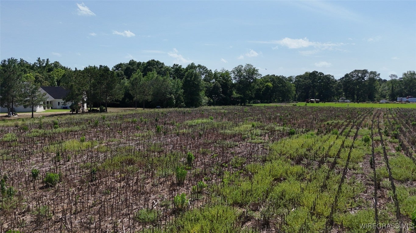 3799 Hogan Road Deatsville, AL 36022 - Photo 17 of 17 Gallery Image 17