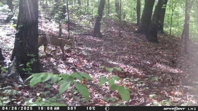 0 Prospect Road Carnesville, GA 30521 - Photo 36 of 38