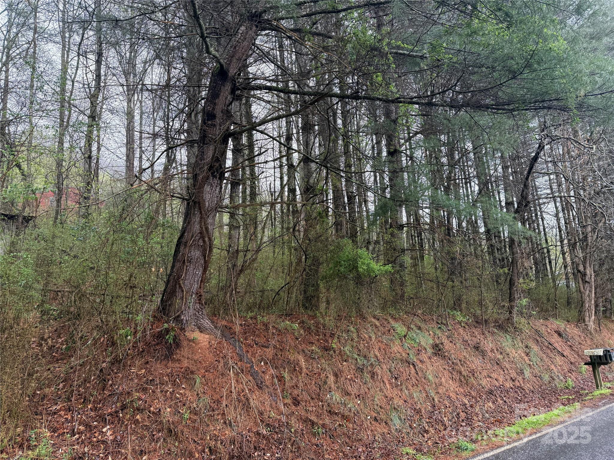 0 Locust Crk Road Sylva, NC 28779 - Photo 2 of 2 a view of a forest with trees in the background
