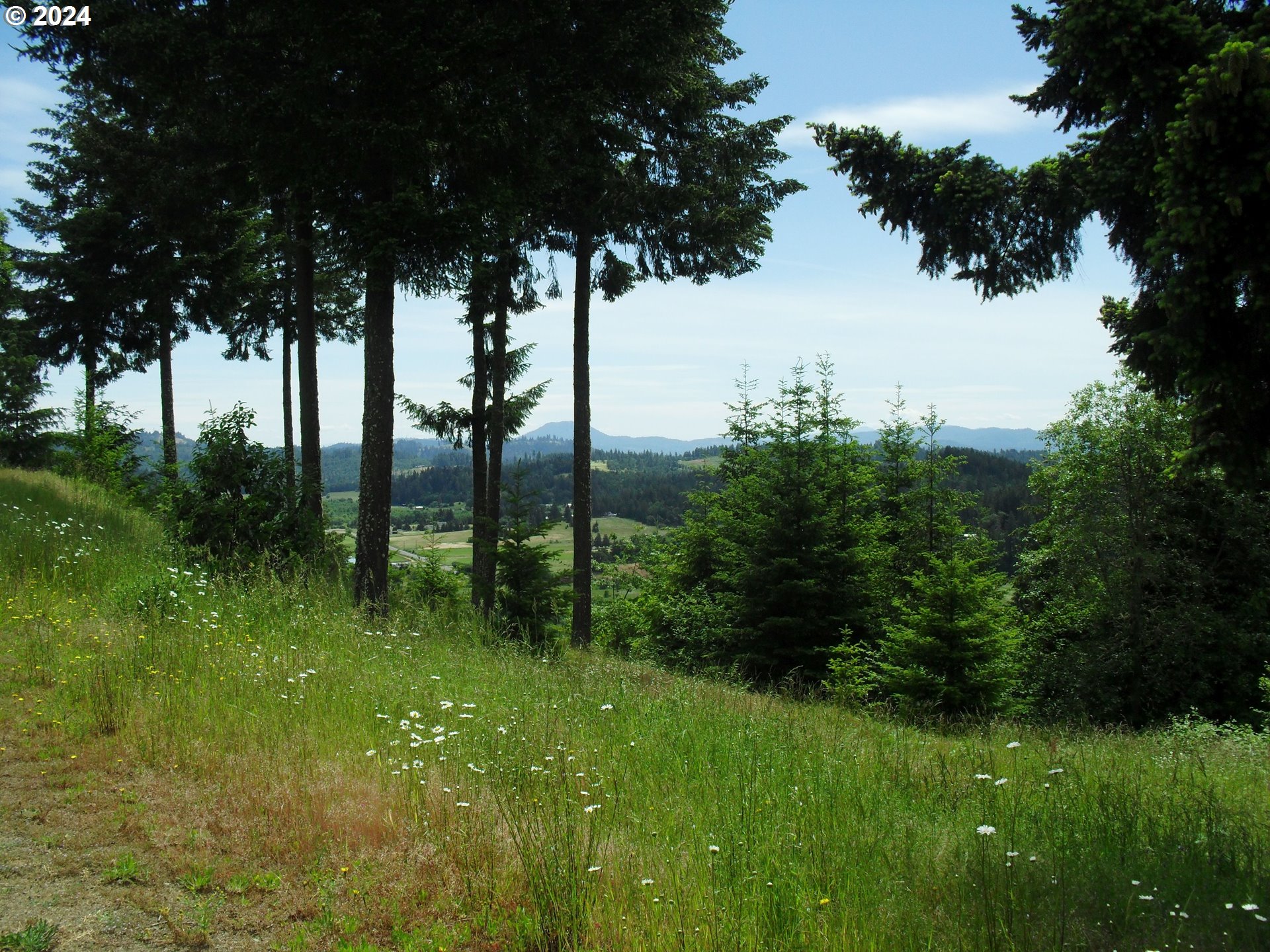 27649 Crow Road Eugene, OR 97402 - Photo 14 of 24 Gallery Image 14