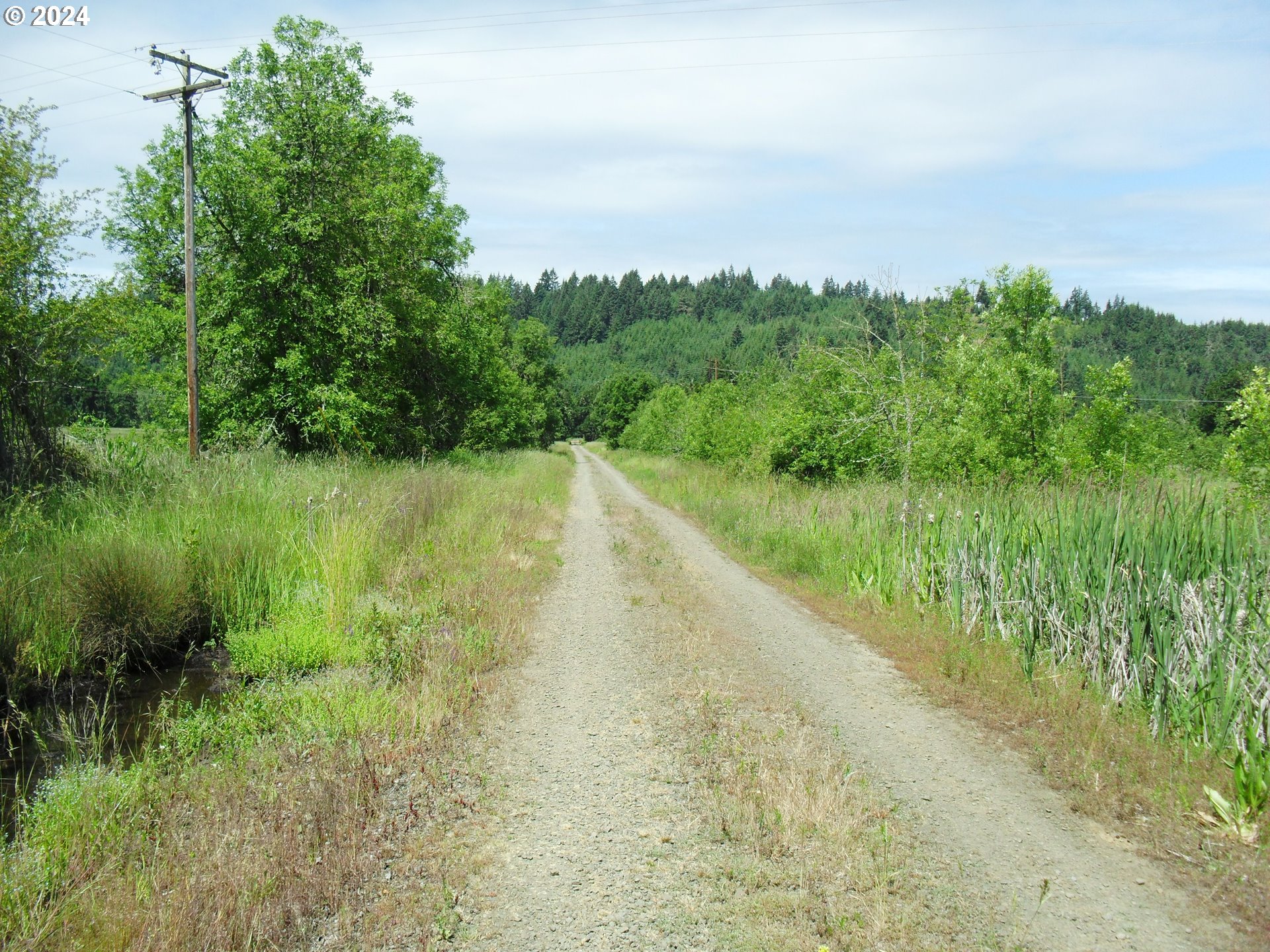 27649 Crow Road Eugene, OR 97402 - Photo 4 of 24 Gallery Image 4