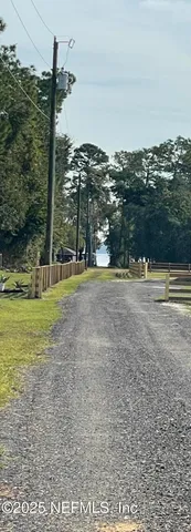 a view of a park with large trees
