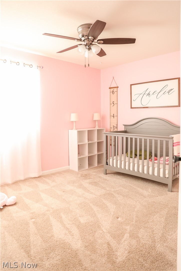 9225 Stanley Road Windham, OH 44288 - Photo 31 of 34 Gallery Image 31