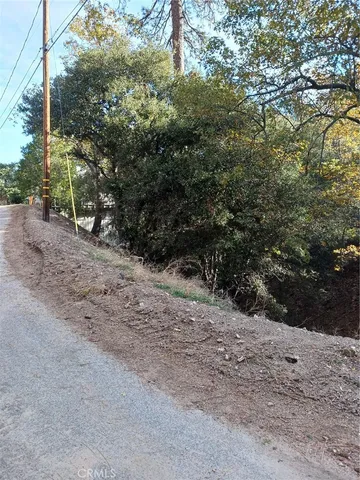 a view of a dirt road with trees