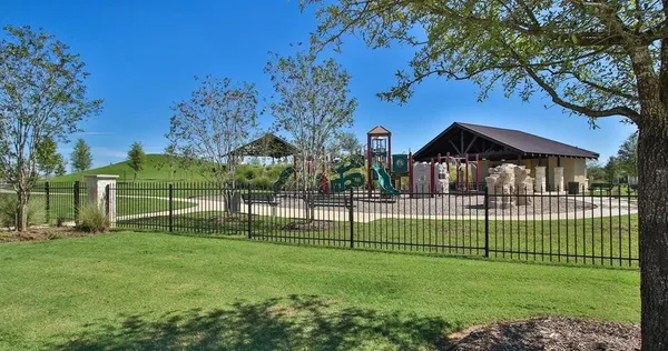 a view of a park with large trees