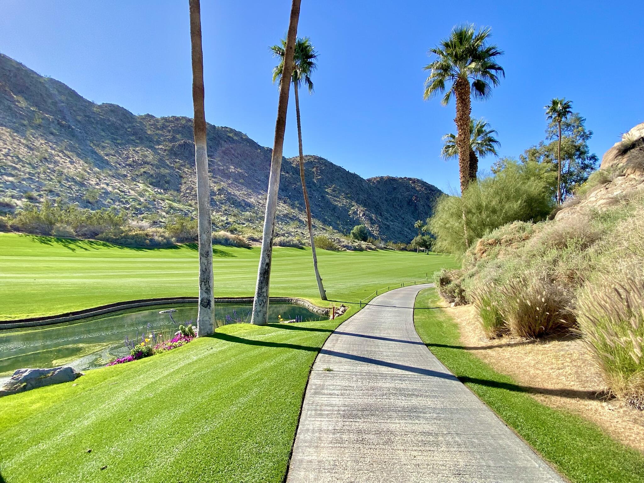 45740 Pueblo Road Indian Wells, CA 92210 - Photo 60 of 61 a view of a park with a palm tree