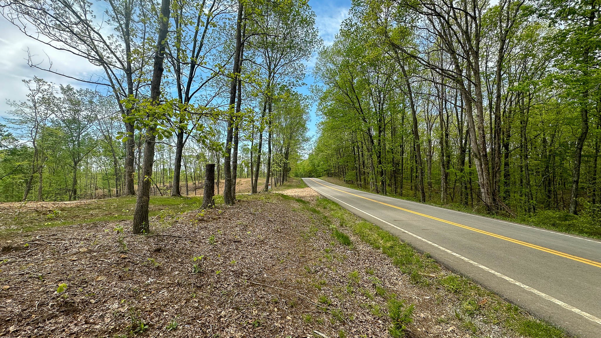 a view of a yard with trees