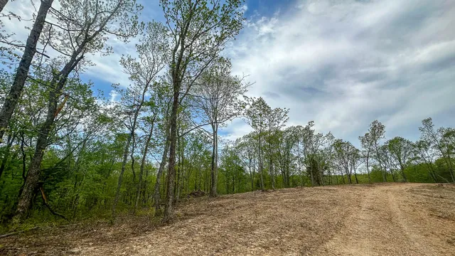a view of dirt field with trees in background