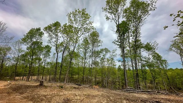 a view of a large yard with lots of green space
