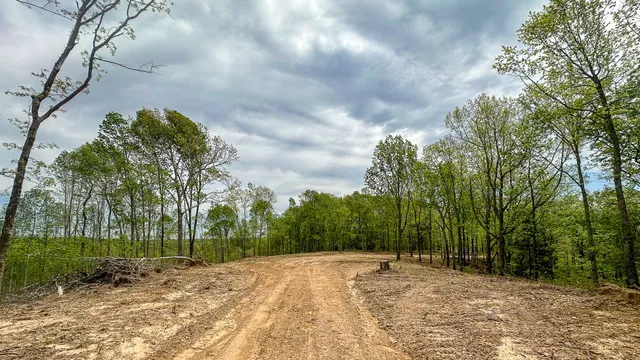 a view of a lush green outdoor space with a lake view