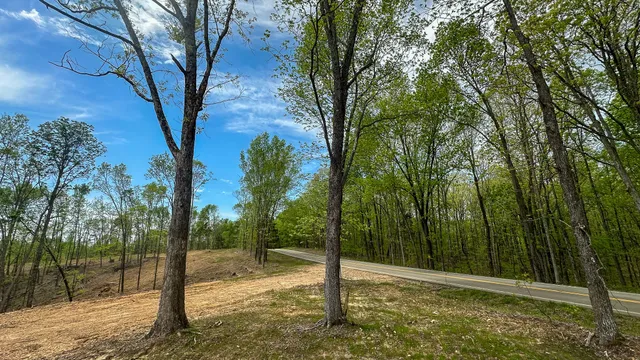a view of outdoor space with deck and trees