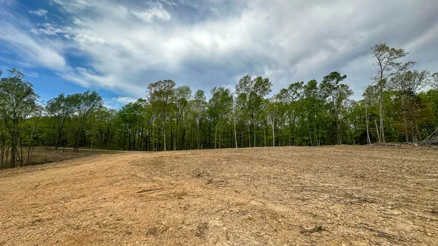 a view of a lush green forest with lots of trees