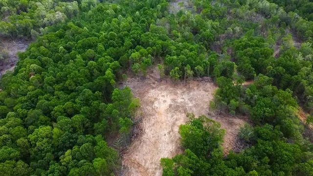 $231,000 | 0 Highway 438, Centerville, TN 37033