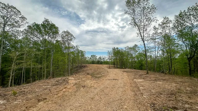 a view of a yard with trees in the background