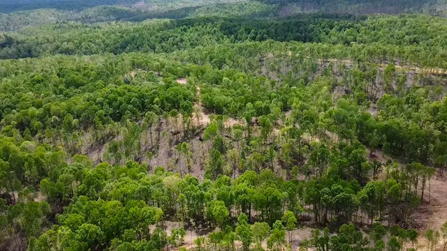 $231,000 | 0 Highway 438, Centerville, TN 37033