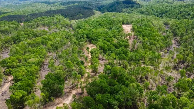 $231,000 | 0 Highway 438, Centerville, TN 37033