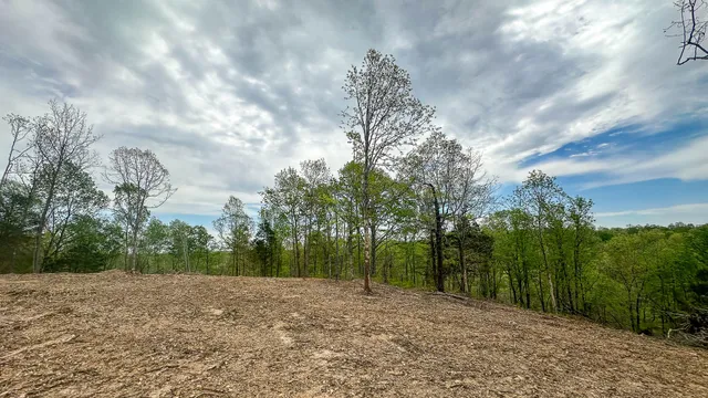 a view of a field with trees in the background