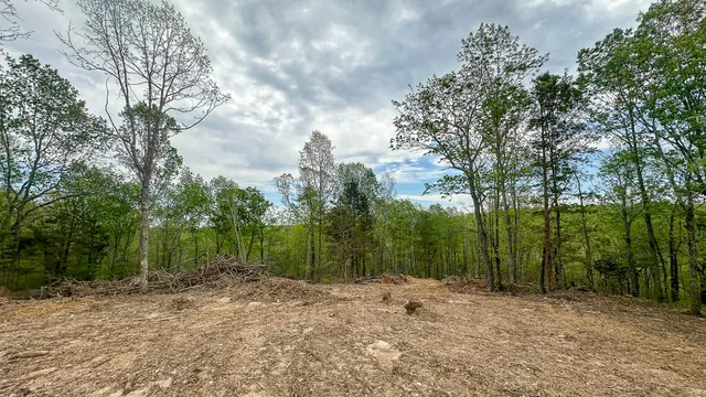 a view of outdoor space with trees all around