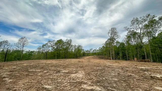 a view of a yard with plants and trees