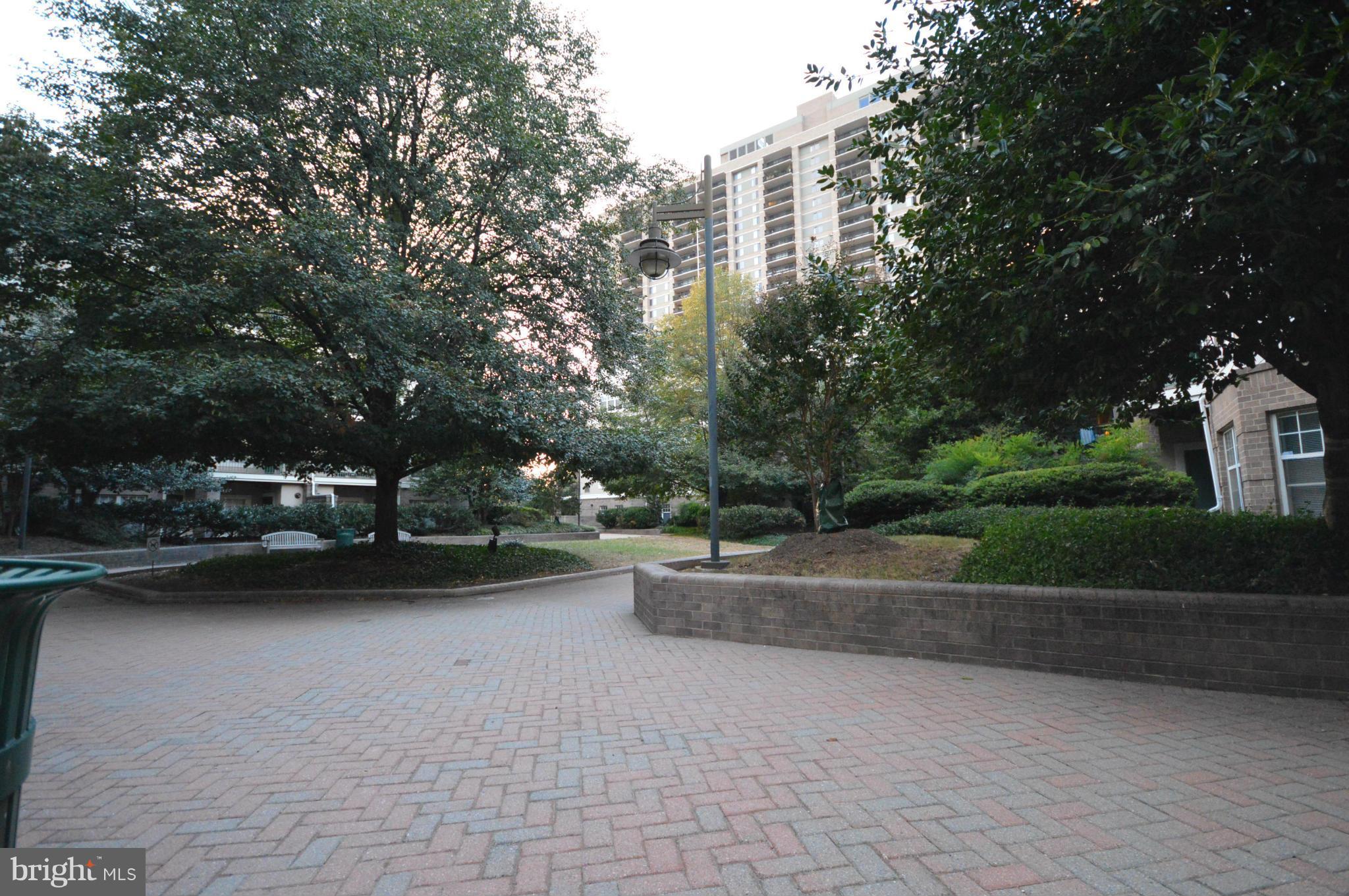 5575 Seminary Road, Unit 311 Falls Church, VA 22041 - Photo 3 of 30 a view of street with parked cars