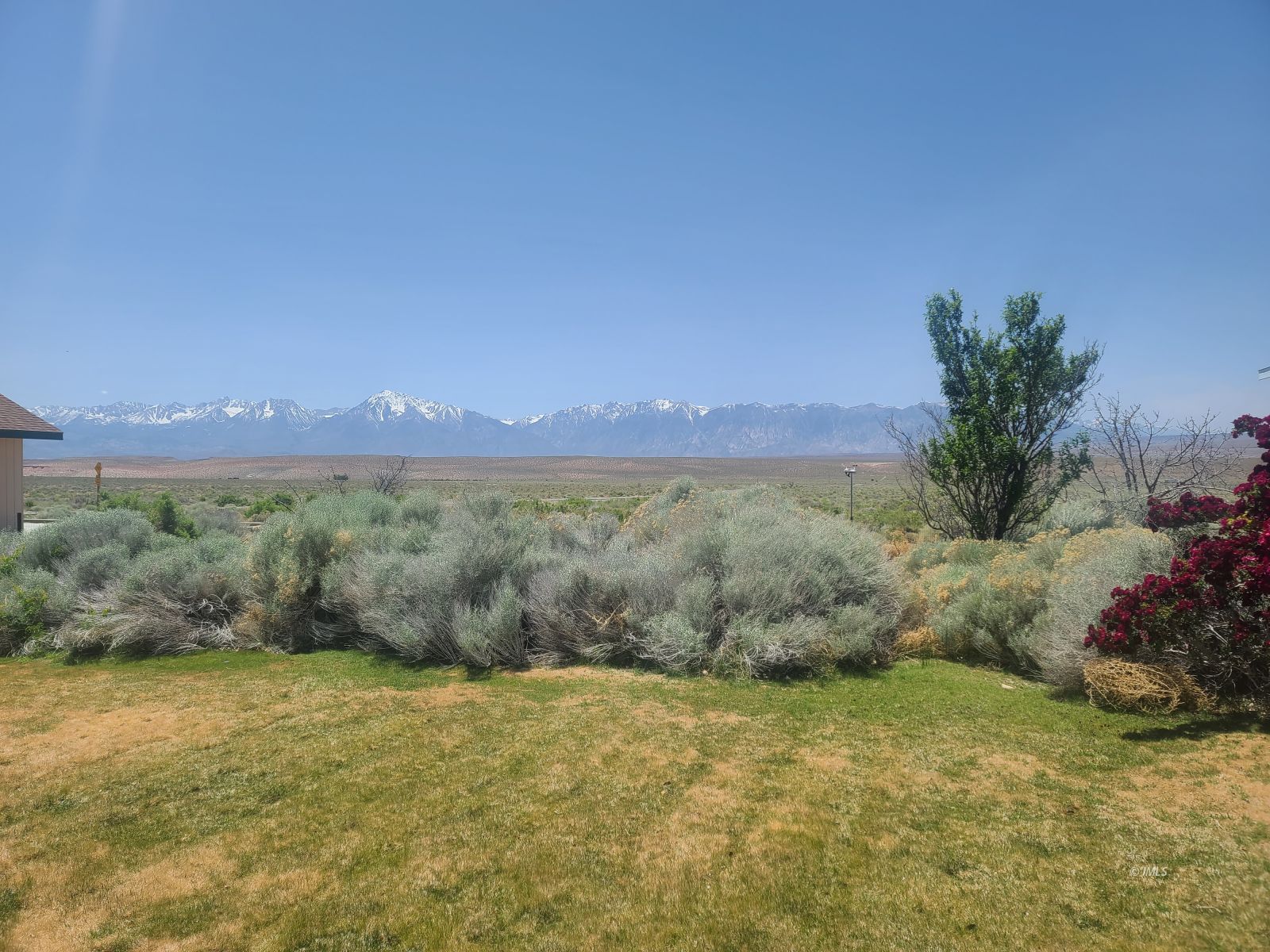 37 Sequoia Street Bishop, CA 93514 - Photo 14 of 16 a view of a big yard