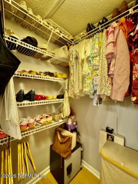 8852 Inlet Bluff Drive Jacksonville, FL 32216 - Photo 27 of 53 Walk-in Owner's Closet